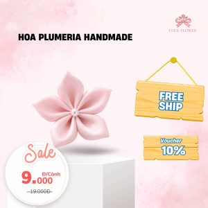 Hoa Plumeria